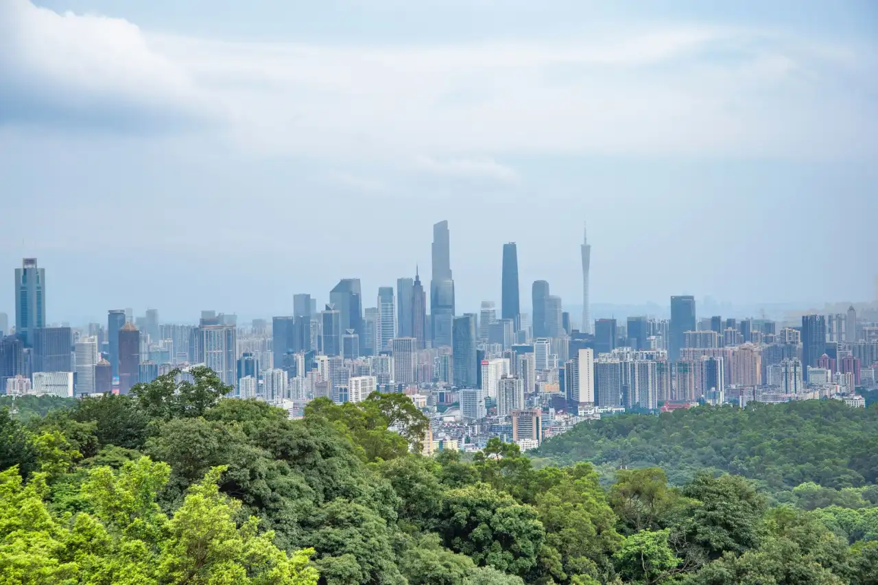 双面呢大衣生产工艺流程及质量管控要点解析