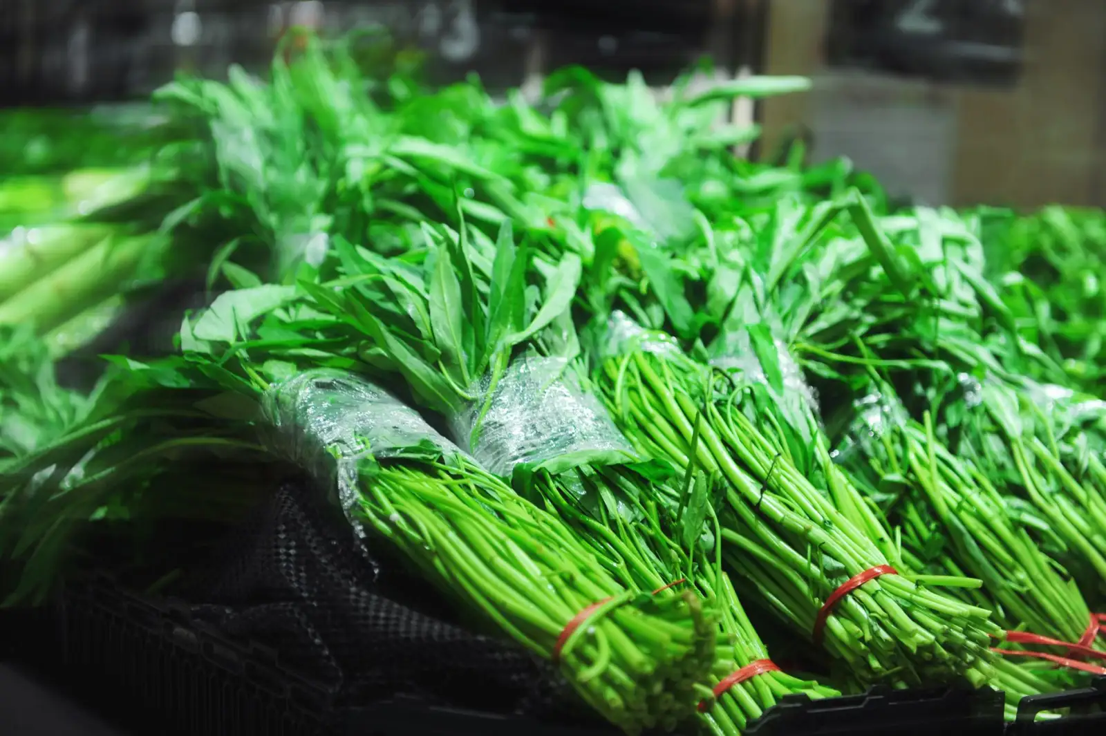 双面呢大衣生产工艺流程与质量管控要点解析