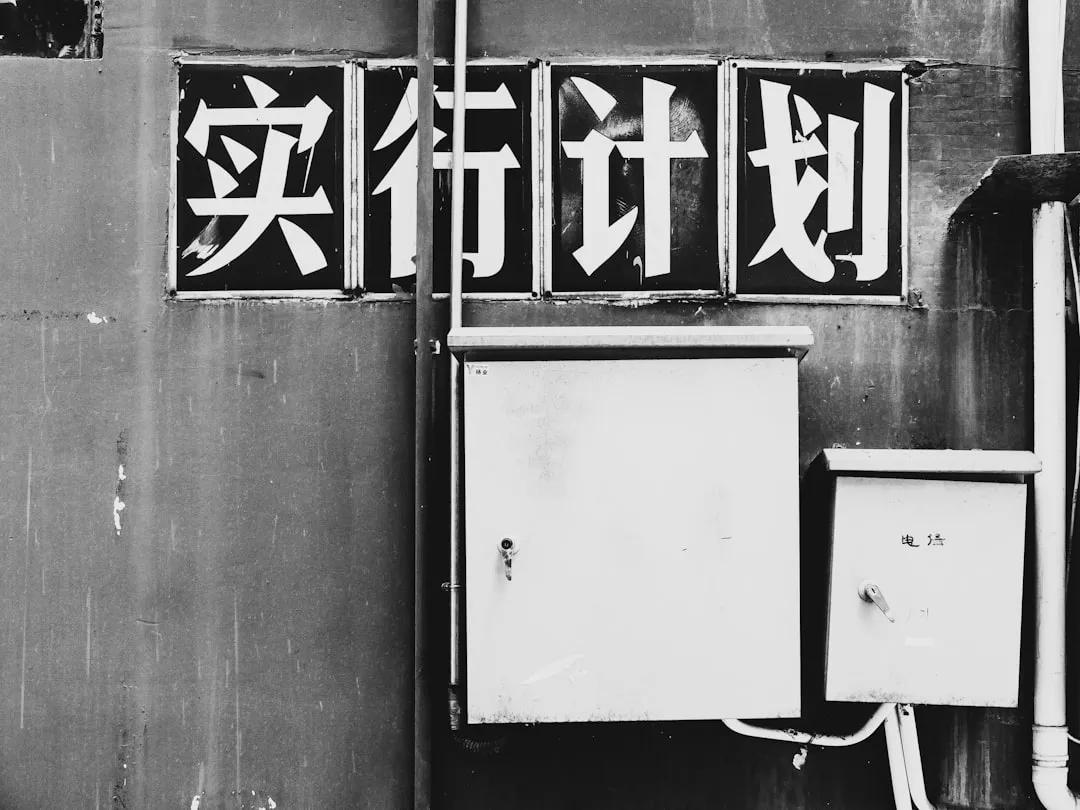 2025冬季女装批发市场趋势：羽绒服与双面呢大衣成主力品类